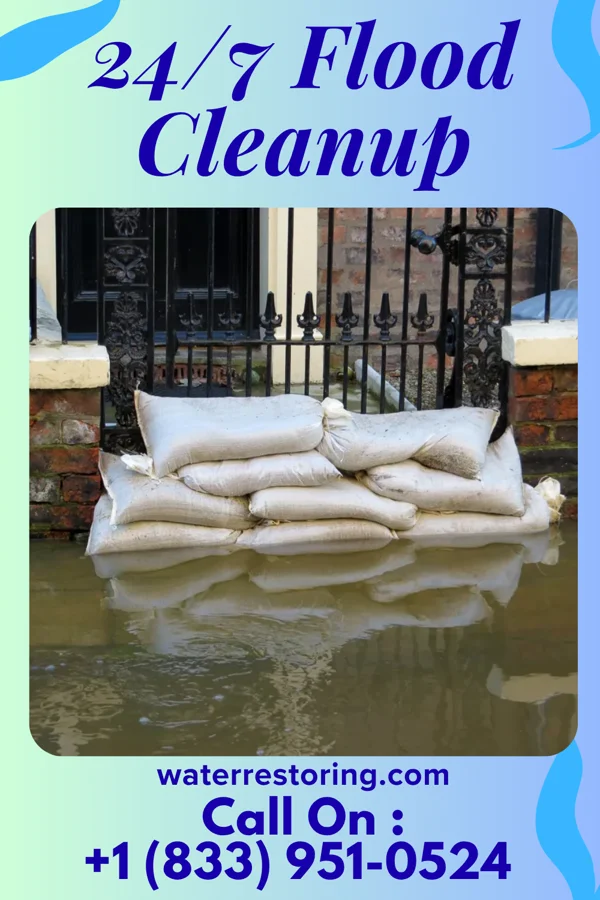 24/7 Flood Cleanup in Lovejoy, GA